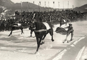 Skijoring
